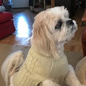 Meet your Posher, Shelby